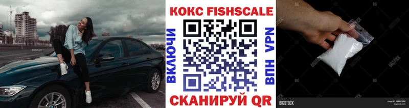 цена наркотик  Владикавказ  Кокаин FishScale 