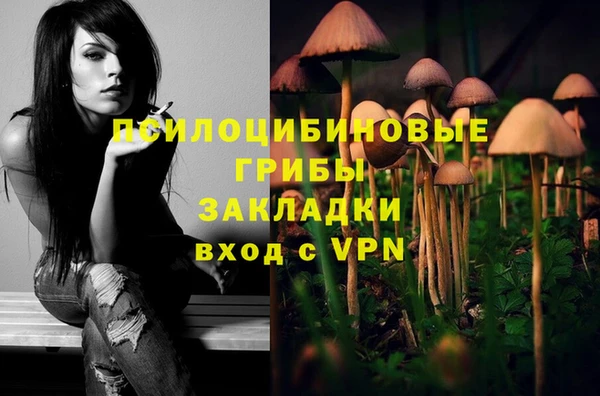 Альфа ПВП Нефтекумск
