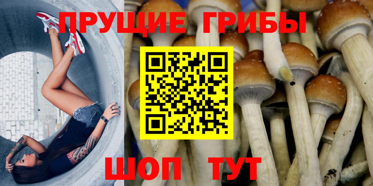 Владикавказ  закладка  Вход с VPN  Галлюциногенные грибы Psilocybine cubensis  Галлюциногенные грибы мухоморы 